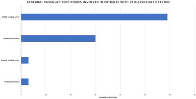 Differences in clinical and biological factors between patients with PFO-related stroke and patients with PFO and no cerebral vascular events